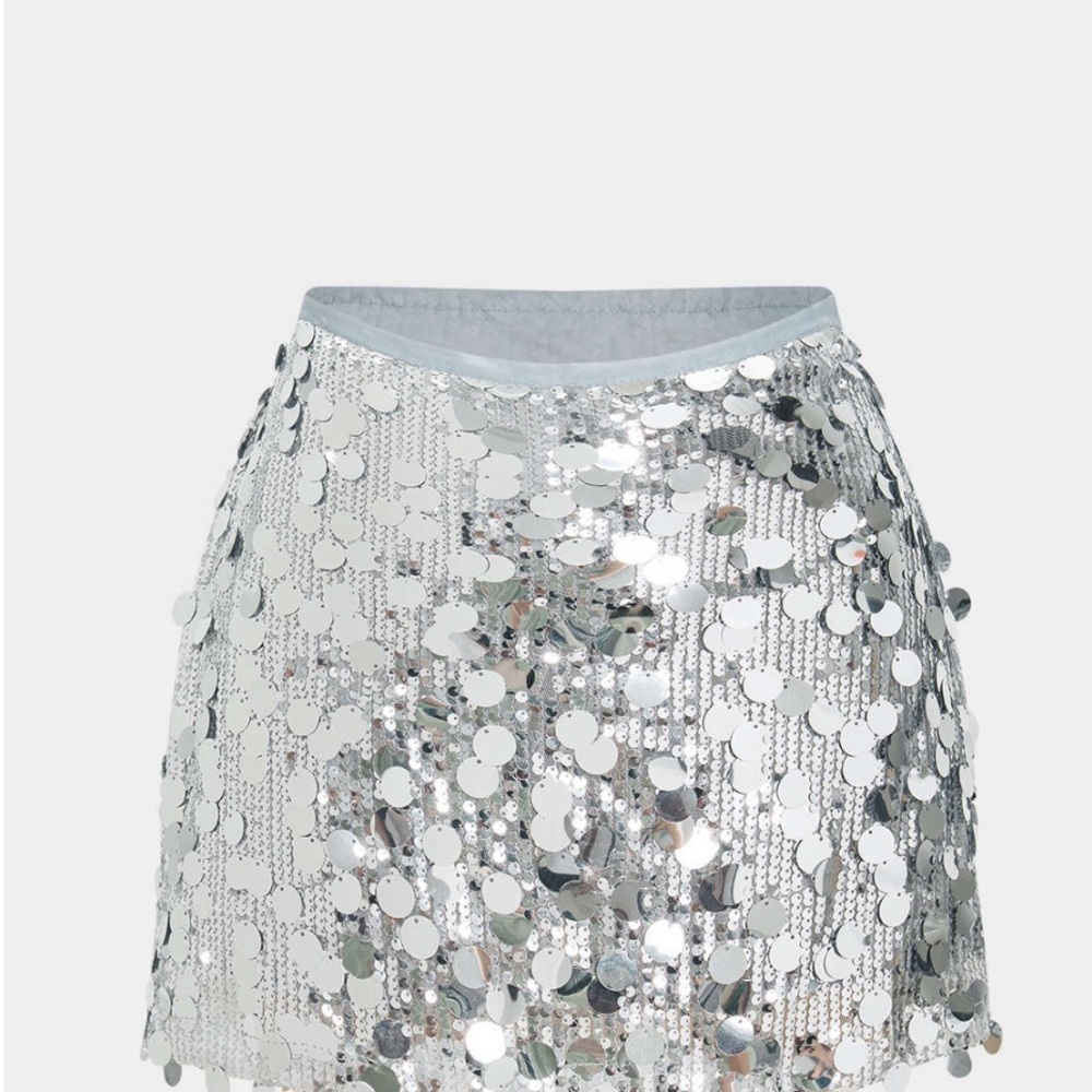 NWT Micas Sequin Mesh Mini Skirt – Size L – Party/Holiday Look – never worn